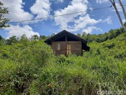 7 Fakta Aneh Ada Rukun Tetangga Siluman di Tengah Hutan Kendari