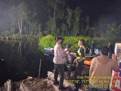 Petani di Kaltara Hilang Diterkam Buaya 4 Meter saat Mandi di Sungai