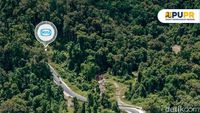 Bangun Jalan di Papua Tembus Hutan Lebat, Ini Salah Satunya