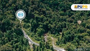Bangun Jalan di Papua Tembus Hutan Lebat, Ini Salah Satunya