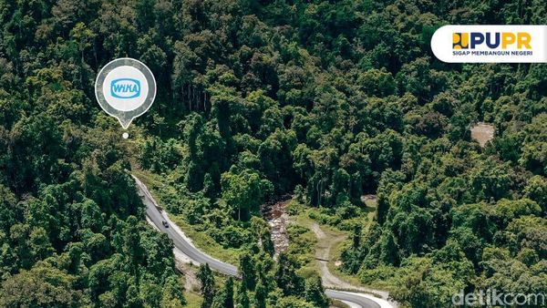 Bangun Jalan di Papua Tembus Hutan Lebat, Ini Salah Satunya