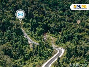 Bangun Jalan di Papua Tembus Hutan Lebat, Ini Salah Satunya Bangun Jalan di Papua Tembus Hutan Lebat, Ini Salah Satunya