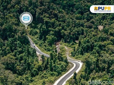 Bangun Jalan di Papua Tembus Hutan Lebat, Ini Salah Satunya