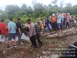 Ngeri! Begini Detik-detik Petani di Kaltara Hilang Diterkam Buaya 4 Meter