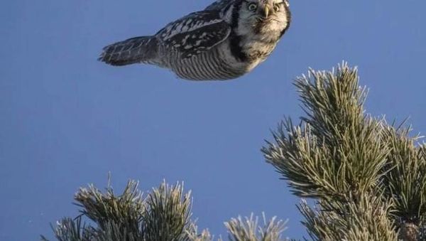 Kumpulan Potret Kebetulan yang Lucu dan Menarik