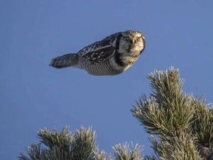 Kumpulan Potret Kebetulan yang Lucu dan Menarik