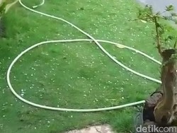 Fenomena Hujan Es Landa Sebagian Wilayah Magetan