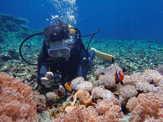 Destinasi wisata pantai di Maluku Utara
