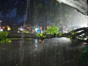 Hujan Lebat-Angin Kencang di Makassar Bikin Kanal Meluap-Pohon Tumbang Hujan Lebat-Angin Kencang di Makassar Bikin Kanal Meluap-Pohon Tumbang