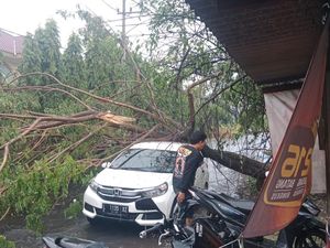 Pohon Tumbang Saat Hujan Angin di Surabaya Timpa Mobil