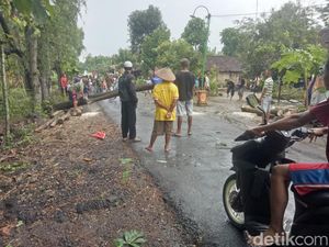 Hujan Es Disertai Angin Kencang Sebabkan Pohon Tumbang, 1 Rumah Rusak