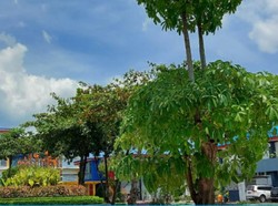 Pendaftaran PEM Akamigas Kementerian ESDM Segera Buka, Ada Beasiswa!