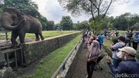 Suasana Kebun Binatang Ragunan saat PPKM Level 3