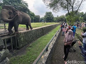 Suasana Kebun Binatang Ragunan saat PPKM Level 3