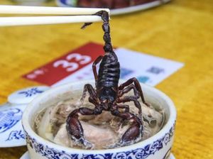 Sup Isi Ular dan Kalajengking Utuh Ini Mujarab Obati Rematik Sup Isi Ular dan Kalajengking Utuh Ini Mujarab Obati Rematik