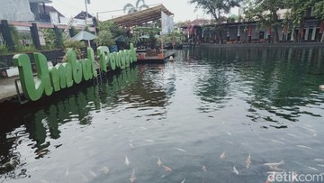 Daftar 10 Wisata Kolam Alami dari Mata Air Pegunungan, Indah dan Sejuk