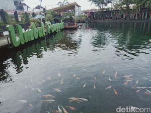 Daftar 10 Wisata Kolam Alami dari Mata Air Pegunungan, Indah dan Sejuk Daftar 10 Wisata Kolam Alami dari Mata Air Pegunungan, Indah dan Sejuk