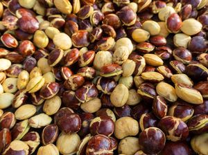 Etika Makan Jengkol dan Petai dalam Ajaran Islam