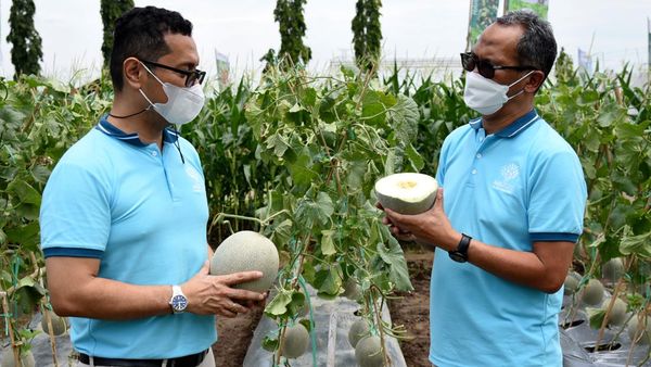 Expo Virtual untuk Petani