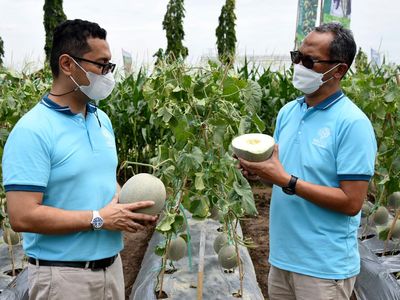Expo Virtual untuk Petani