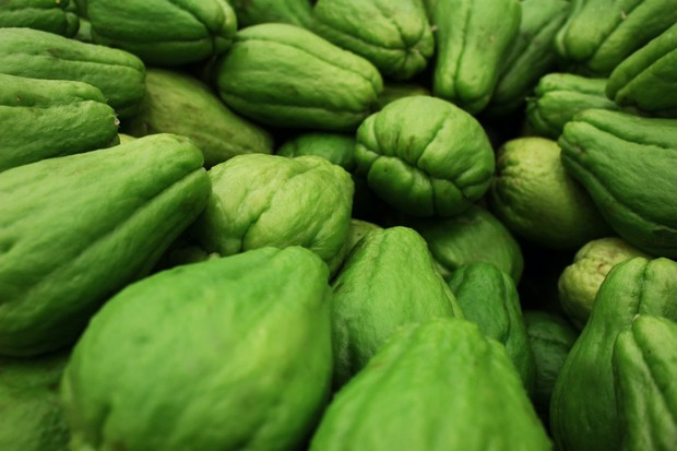 Illustration of chayote as food to help lose weight.