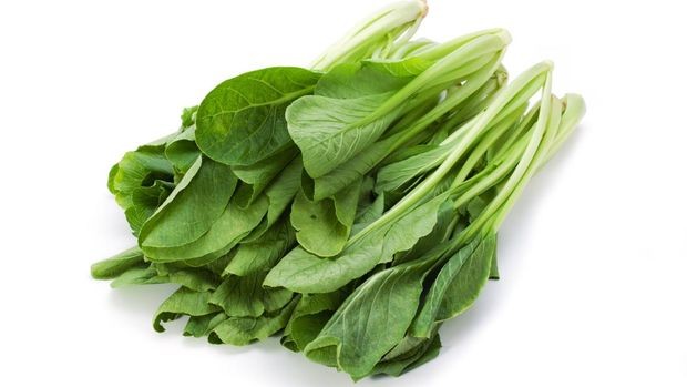 Illustration of mustard greens is a vegetable that helps lose weight.