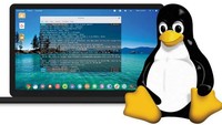 Pencipta Linux Pusing Kebanjiran Laporan Bug dari AI
