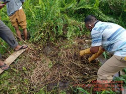 Terduga Pembunuh Wanita Terbungkus Karung di Jambi Ternyata Abang Korban