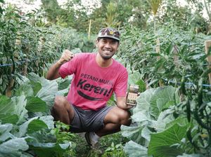 Disuplai Listrik PLN, Petani Bali Ini Ekspor 10 Ton Buah Sekali Kirim
