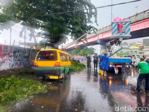 30 Pohon Tumbang Tersebar di Surabaya Saat Hujan Deras dan Angin Kencang