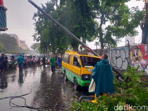 Pohon dan Lampu Jalan Tumbang di Wonokromo Surabaya Timpa Angkot-Mobil Pohon dan Lampu Jalan Tumbang di Wonokromo Surabaya Timpa Angkot-Mobil