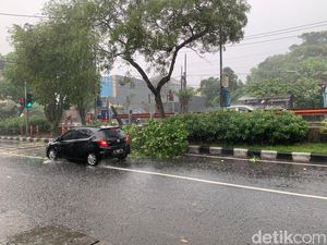Banyak Pohon Tumbang di Kawasan Banyuurip Surabaya