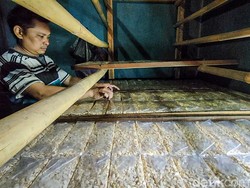 RI Daftarkan Reog hingga Tempe ke UNESCO, Ini yang Perlu Dipahami Masyarakat