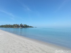 Bagai Liburan di Pulau Pribadi, Ini Pantai Pulau Pane