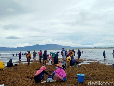 Foto: Weha Mbenggo, Tradisi Berburu Cacing Nyale ala Sumbawa