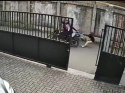 Viral Bocah SD di Depok Tarik-tarikan Tas dengan Jambret hingga Terseret