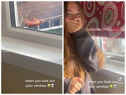 Bule Ini Kaget Lihat Tetangganya Masak Babi Guling di Halaman Rumah