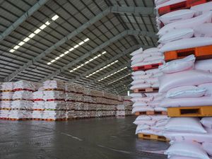 Biang Kerok Kelangkaan Pupuk di Parepare karena Ulah Distributor Biang Kerok Kelangkaan Pupuk di Parepare karena Ulah Distributor