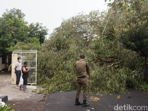 Angin Kencang Landa Kota Mojokerto Tumbangkan Pohon di 4 Titik Angin Kencang Landa Kota Mojokerto Tumbangkan Pohon di 4 Titik