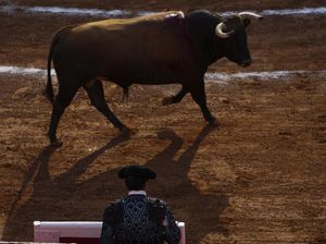 Kalender Jawa Senin Wage 19 Desember 2022: Seperti Banteng Lumpuh