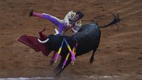 Aksi Matador Jatuh Bangun Taklukkan Banteng di Meksiko