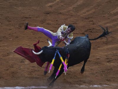 Aksi Matador Jatuh Bangun Taklukkan Banteng di Meksiko