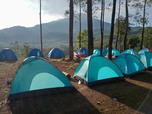 Sensasi Berkemah di Alas Pacet Saat Weekend, Pemandangan Hutan Pinusnya Juara! Sensasi Berkemah di Alas Pacet Saat Weekend, Pemandangan Hutan Pinusnya Juara!