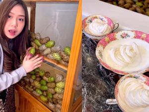 Nyengat Baunya! Sisca Kohl Bikin Es Krim Pakai Buah Mengkudu