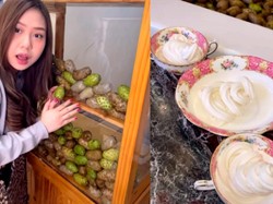 Nyengat Baunya! Sisca Kohl Bikin Es Krim Pakai Buah Mengkudu