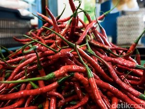 Harga Pangan Menggila, Cabai Keriting Merah Tembus Rp 100.000/Kg