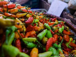 Beuki Seuhah! Harga Cabai Rawit Domba Tembus Rp  70 Ribu Per Kg