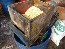 Tempe Tak Langka Lagi, tapi Siap-siap Harga Bakal Naik!