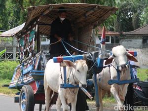 Bukan Makian, Ini Sejarah Awal Kata Bajingan dan Arti Sebenarnya Bukan Makian, Ini Sejarah Awal Kata Bajingan dan Arti Sebenarnya