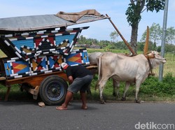 Setia di Atas Roda, Begini Potret Para Bajingan Asal Bantul